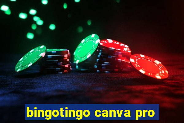 bingotingo canva pro